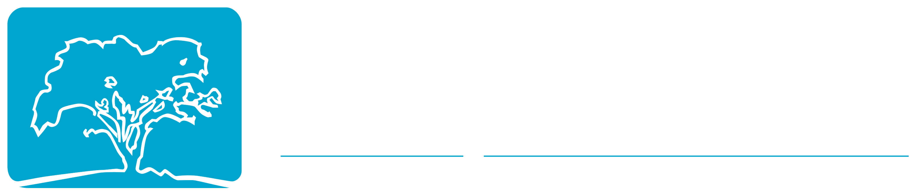 maple tech logo